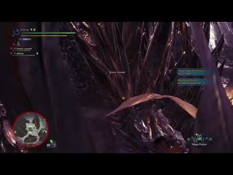 Monster Hunter: World the REAL endgame: afk, bad randoms, errors in joining, etc.