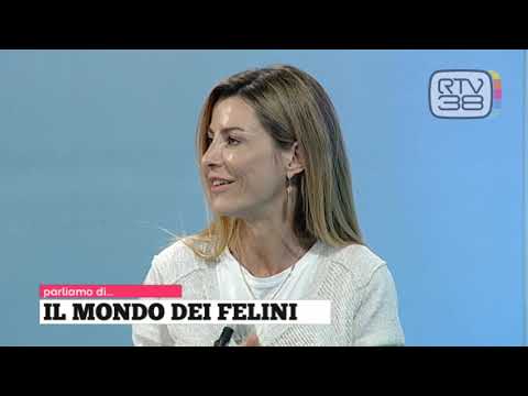 Tadà Martedì 25/05/2021 (Parte 2)