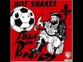 Hot Snakes - Lovebirds - Audit In Progress