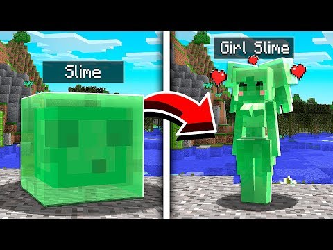 EYstreem - How to Turn EVERY MOB INTO A GIRL in Minecraft!