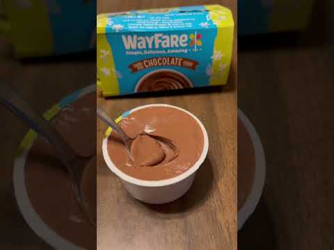 Vegan Chocolate Pudding | WayFare Dairy-Free Chocolate Pudding #shorts #vegan #veganuary #dessert