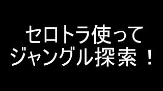 Seroのマインクラフト実況プレイPART248　セロトラ使ってジャングル探索します！