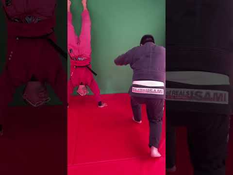 【柔術】基本動作『壁倒立』#shorts #jiujitsu #bjj #柔術 #ブラジリアン柔術 #mjjlab