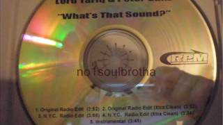 Lord Tariq & Peter Gunz "What's That Sound" (NYC Radio Edit)