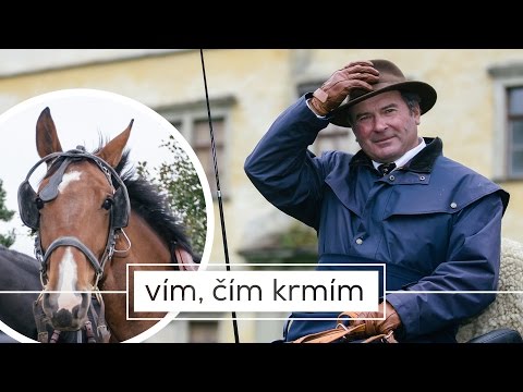 KOŇSKOU SILOU - Vozatajství