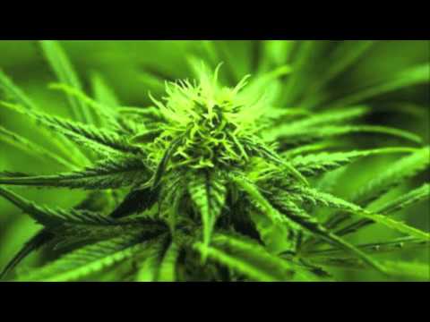 T.Kay Numa Crew - Ganja Free Riddim