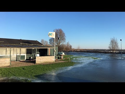 Puppytrainingen afgelast door hoogwater in Enkhuizen