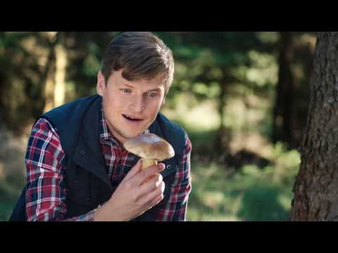 Náhled pro video reference