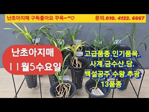 유튜브 썸네일