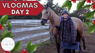 VLOGMAS 2023: DAY 2 - STARTING LUNA