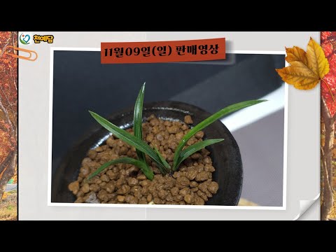 유튜브 썸네일