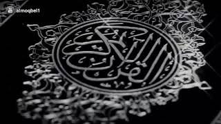 صورة منارات في طريق التدبر/المنارة السادسة/أ.د. عمر المقبل