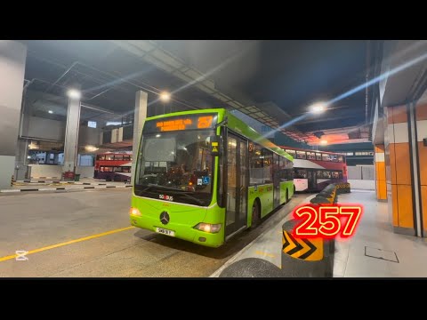 [SMRT] | SMB91Y on Service 257 | Mercedes-Benz OC500LE Batch 2
