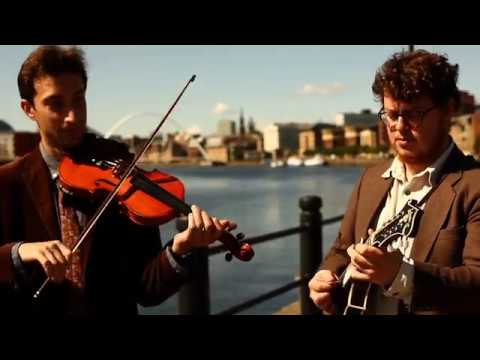 The Often Herd -  Sail Away