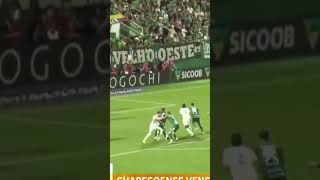 Chape vence o Santos na Arena Condá e larga bem no Brasileirão #scnoar #brasileirão #futebol