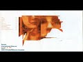International Observer - Barone