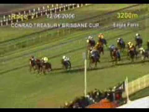 2006 Conrad Treasury Brisbane Cup  (winner : Art Success)