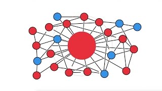 Social media echo chambers trap Americans