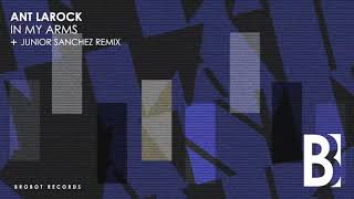 Ant La Rock - In My Arms (Junior Sanchez Remix)