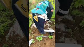 Title: The Transformation: How the Handsome Gentleman Learned to Care