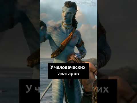 А вы знали что в фильме Аватар путь воды 🖐😃👍