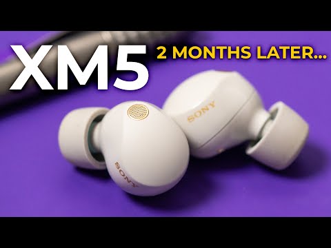 Sony WF-1000XM5 - 2 Months Later ( 🔥 NEW RANK )