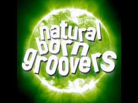 Natural Born Groovers - Home Cuting