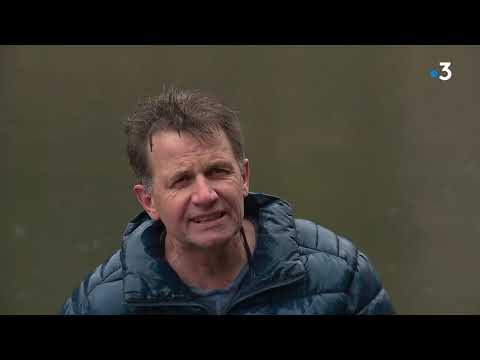 Franche-Comté : La grenouille rousse pourrait avoir son appellation d’origine protégée (AOP)