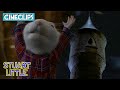 I M Stuart Little Stuart Little CineStream