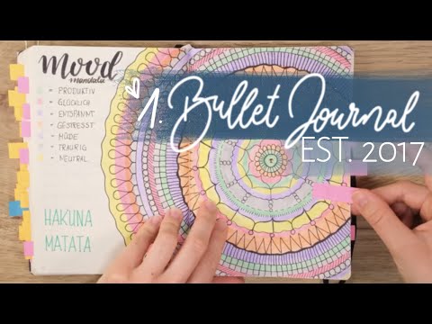 Bullet Journal Flip Through (German) I'll show you my FIRST BUJO!