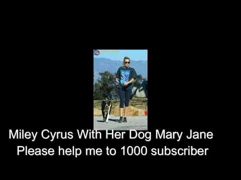 Miley Cyrus With Her Dog Mary Jane