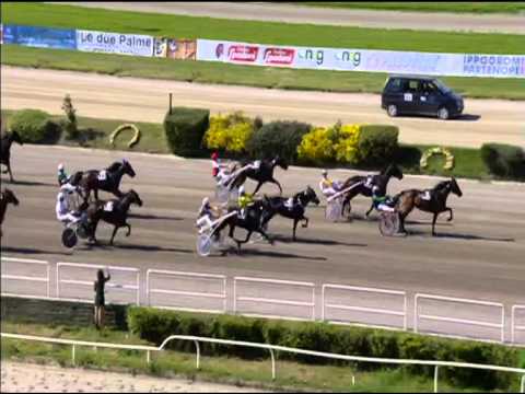 Trotto 03/05/2015 - 6° corsa Memorial Remo Molinari