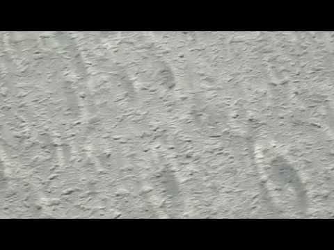 Video Tapez (ft. Del the Funky Homosapien) AmpLive Rainydayz Remixes, my life