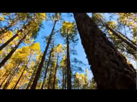 Markus Toepfer - einfach anders