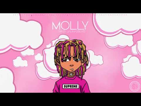 Lil Pump x SmokePurpp x Migos Type Beat "Molly"