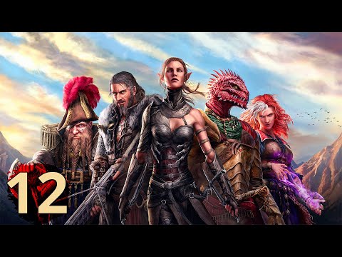 Divinity: Original Sin 2 - Definitive Edition | Part 12 - The Vault of Braccus Rex