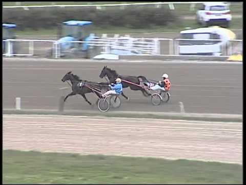 Trotto 15/03/2015 - prova di riqualifica