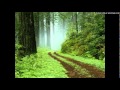 Kargo-Sonbahar 