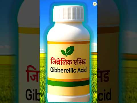 gibberellic acid 0.001% क्या हैं l #gibberellicacid