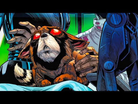 This Is What Happened To Rocket's Sad Past 🥺