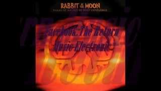 Rabbit In The Moon ‎– Phase 7 - Original