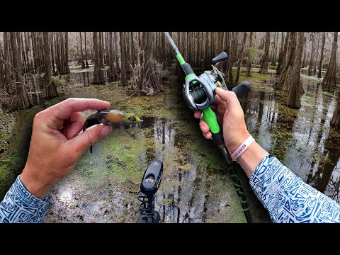 Exploring DEEP Into A Fish Infested Flooded Forest -- On The Border (Part 1)