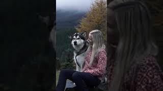 Wolves song whatsapp status | selena gomez song status | vikings  | DOWNLOAD LINK IN DESCRIPTION