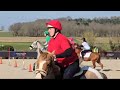 Poney C, Pony games.