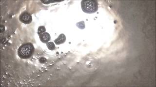 Julia Holter – Vasquez (In the Same Room - 2017)