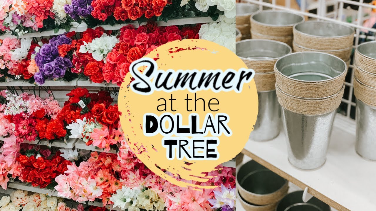 Summer at the DOLLAR TREE!!