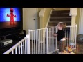 Elmo Groove