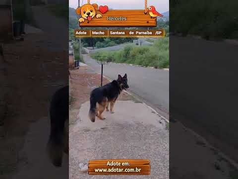 Vídeo de Hércules