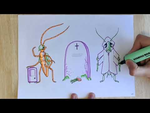 Vídeo: A diversidade de invertebrados ante o cambio global