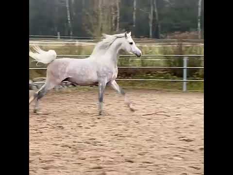 MURANAS NAAHIR ❤🌹👌